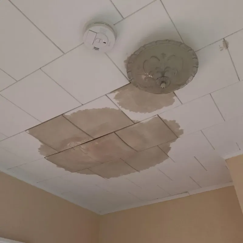Ceiling Water Damage Repair in Evans, CO