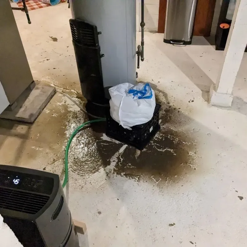 Sewage Backup Cleanup Service in Evans, CO